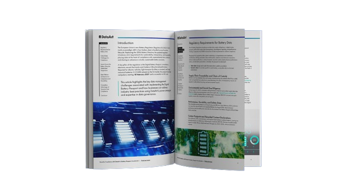 Digital Battery Passport (Type 111)