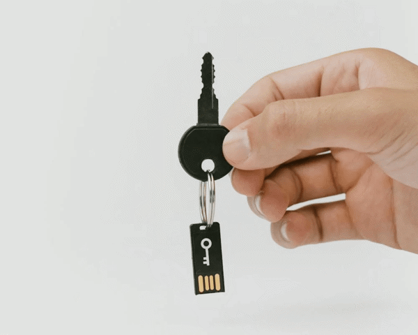 Illustration to the article