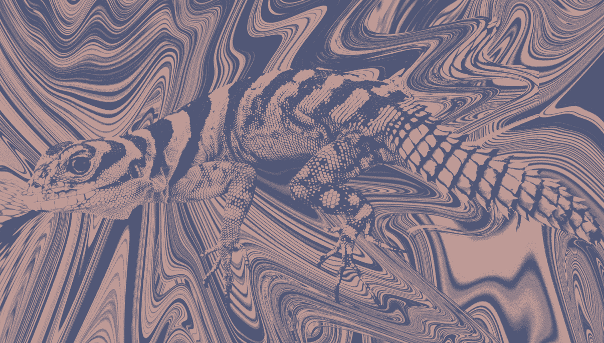 Каква е ролята на Site Reliability инженерите и какви познания и умения е добре да имат?