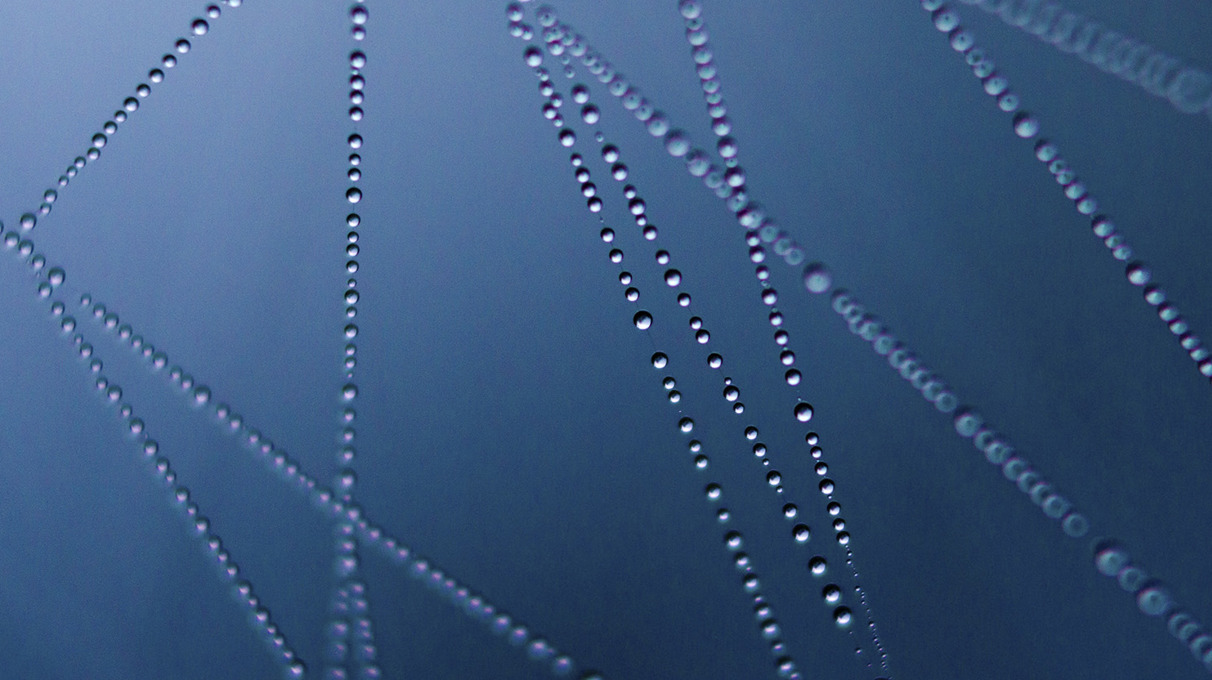 Blockchain in Healthcare: Complex Challenges, Overshadowed by the Hype, Need to be Overcome