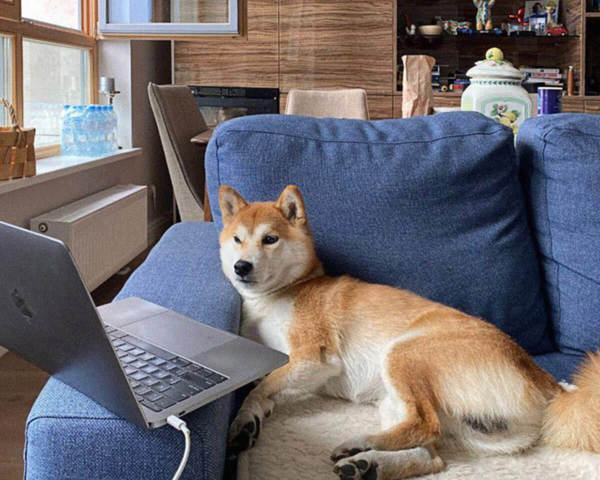 Join Our Global Team